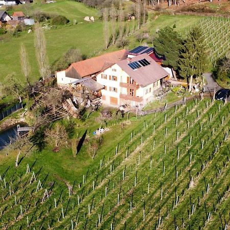 Appartement Weingut Schoberhof Бад Гляйхенберг Экстерьер фото