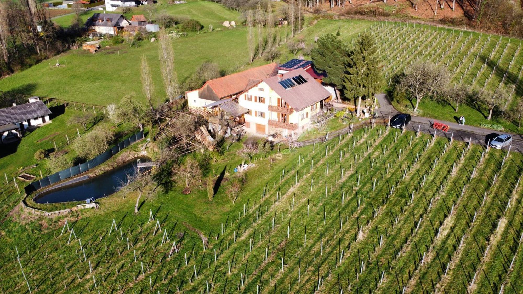 Appartement Weingut Schoberhof Бад Гляйхенберг Экстерьер фото