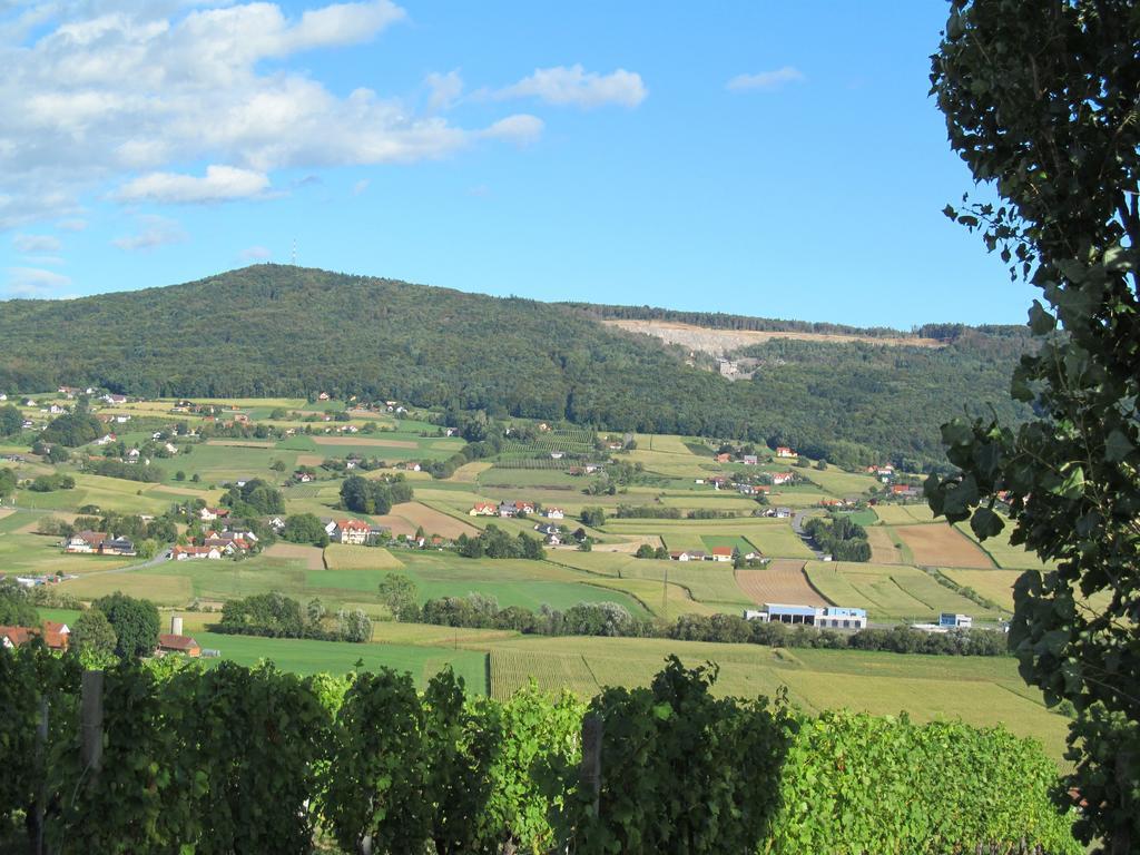 Appartement Weingut Schoberhof Бад Гляйхенберг Номер фото