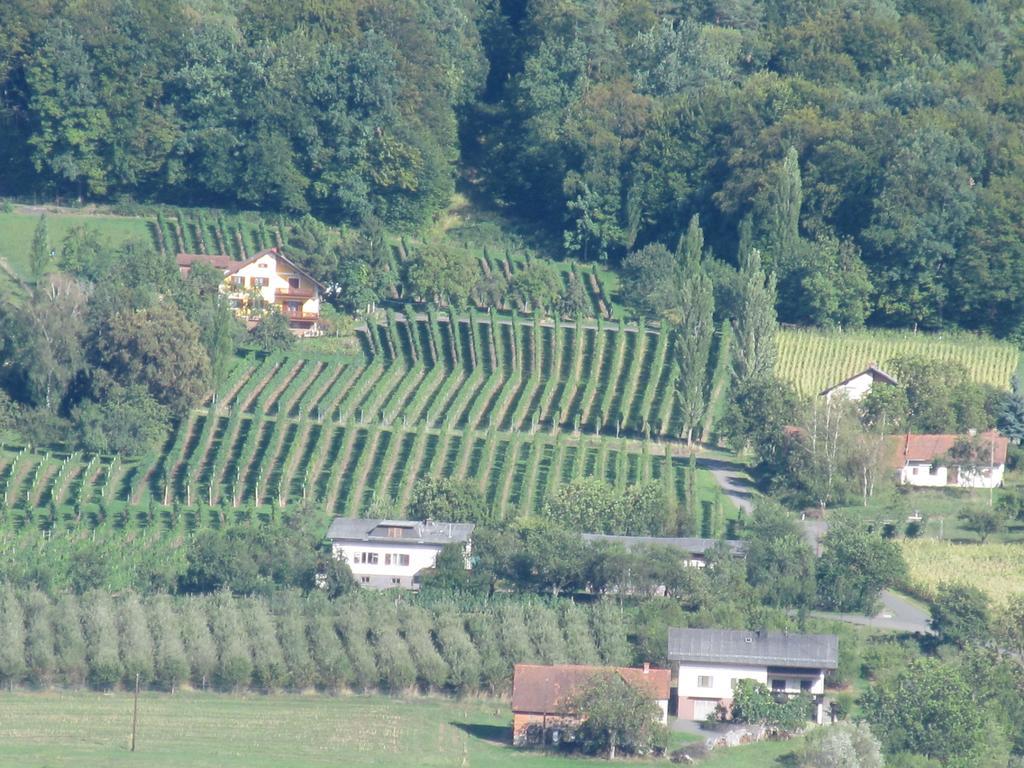 Appartement Weingut Schoberhof Бад Гляйхенберг Номер фото
