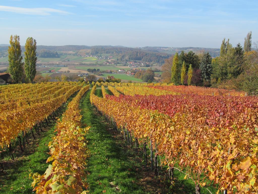 Appartement Weingut Schoberhof Бад Гляйхенберг Номер фото