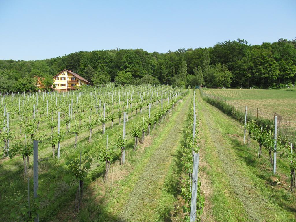 Appartement Weingut Schoberhof Бад Гляйхенберг Номер фото